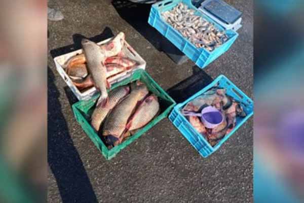 рибоохоронний патруль провів рейд на ринках Полтавщини