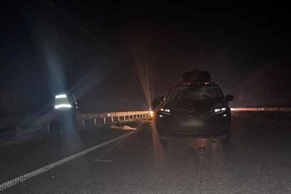 Поліція Полтавщини встановлює особу жінки, яка загинула в ДТП у Гребінківській громад