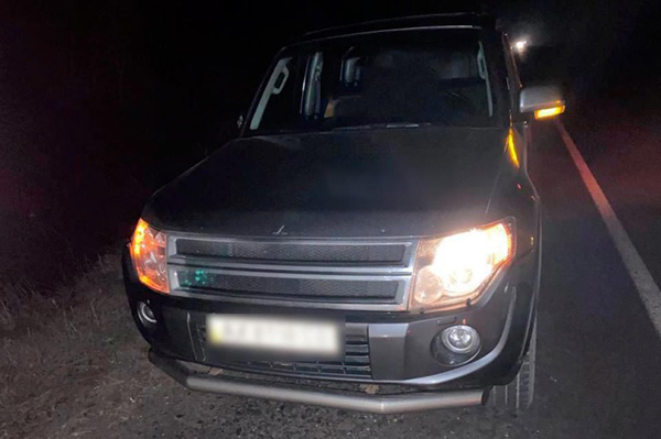 ДТП на Полтавщині: харків'янин здійснив наїзд на пенсіонера