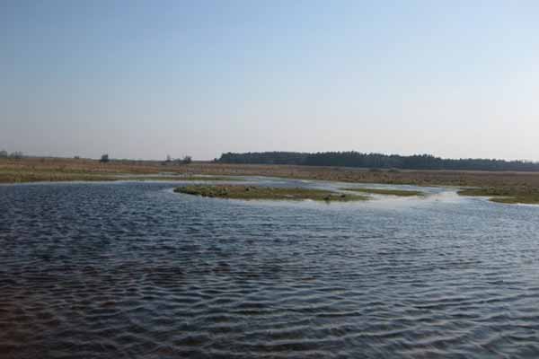 На Полтавщині у річці потонув 19-річний юнак