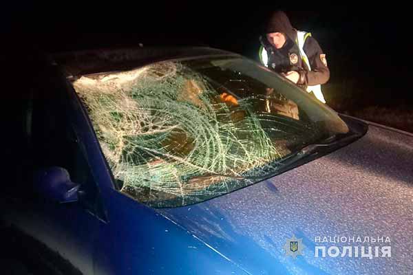 На Полтавщині 24-річний пішохід травмувався у ДТП
