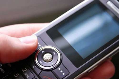 Гребінківські правоохоронці-транспортники оперативно затримали телефонного крадія