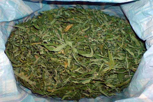 На Полтавщині працівники міліції вилучили у водія вантажівки канабіс