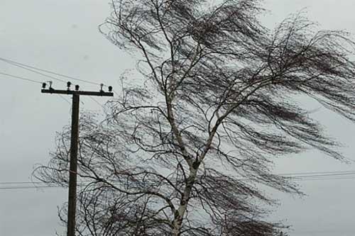 На Полтавщині через буревій 82 населені пункти залишилися без світла