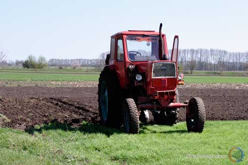 На Полтавщині 326 тисяч гектар земельних ділянок засіяно ярими культурами