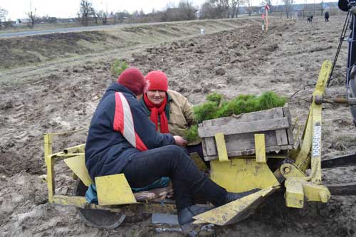 На Полтавщині розпочали саджати ліс