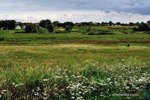 Територіальним громадам Гребінківщини передали 35,93 га гектарів землі