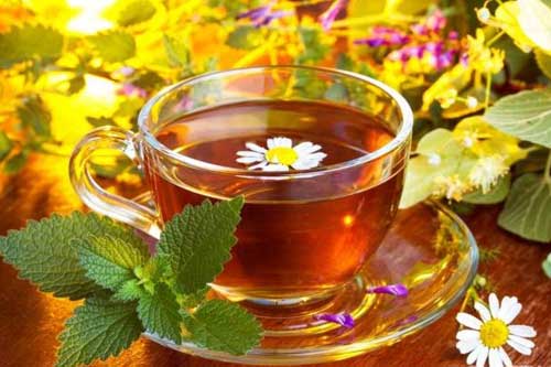 Полтавцям радять збирати трави для чаю