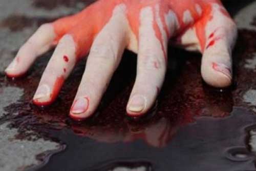 У Гребінці жінка під час застілля вбила гостя