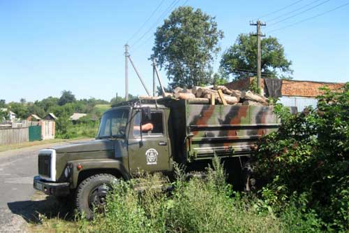 На Полтавщині утилізують свиней, інфікованих африканською чумою