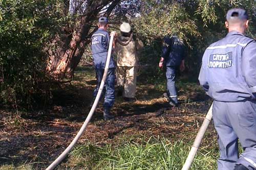 За 7 місяців 2015 року в Гребінківському районі виникло 22 пожежі