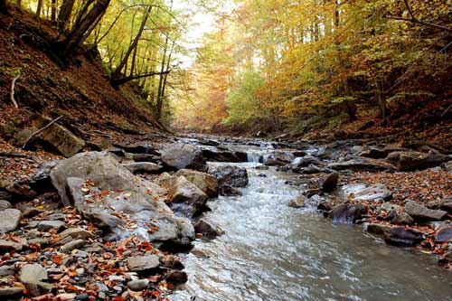 Успіхи гуртківців Гребінківської станції юних техніків 