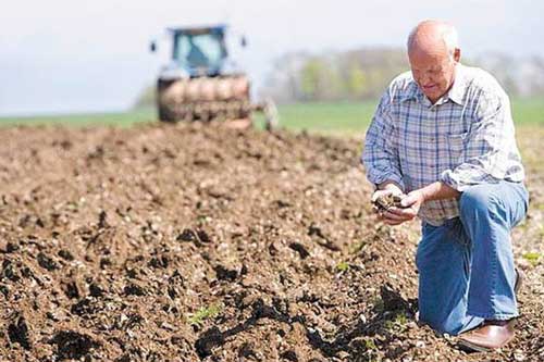 На Пирятинщині громаді села повернули понад 2 га землі вартістю більше 3 млн. грн.