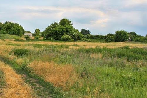 Територіальній громаді Пирятина повернули 2 га земель промисловості