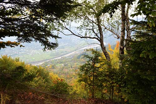 Дивовижна краса Карпат