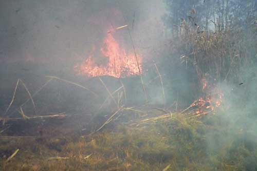 Вже не перший день у Гребінці люди скаржаться на дим, через який важко дихати