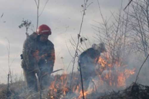 На Гребінківщині горіла суха трава