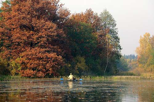 Полтаварибохорона нагадує рибалкам про заборону лову риби на зимувальних ямах