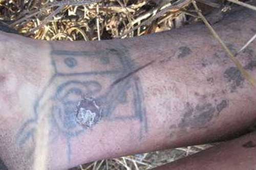 На Полтавщині встановлюють особу чоловіка, знайденого мертвим