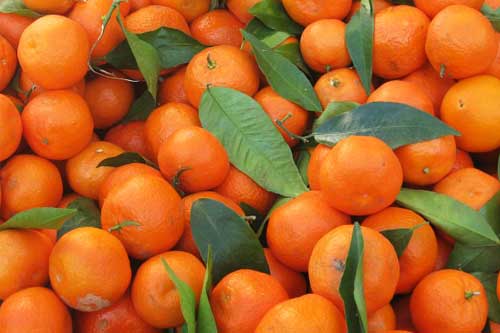 Полтавцям обіцяють перед Новим роком дешеві цитрусові