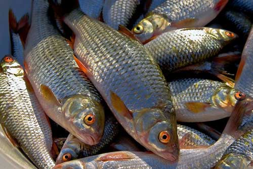 Полтаварибоохорона