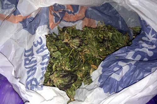 За 11 днів відпрацювання поліцейські Полтавщини вилучили майже кілограм наркотиків