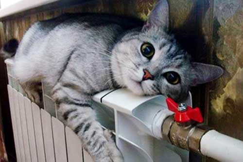 АМКУ розпочав справу проти Гребінківської міськради