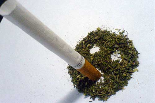 За оастнню добу на Гребінківщині скоєно 2 наркозлочини