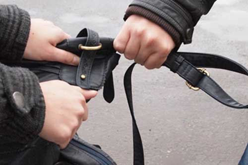 У Гребінці чоловік запропонував жінці донести сумку і вкрав її