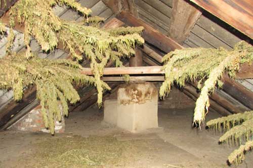 На Полтавщині у чоловіка вилучили три кілограми канабісу