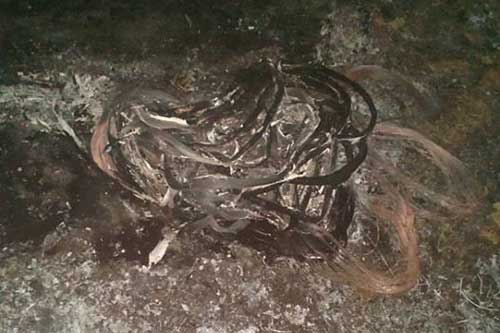 У Гребінці поліцейські затримали крадія телефонного кабелю