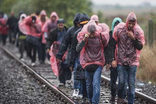 Голова міста В. І. Колісніченко: "Ніяких біженців із Сирії чи інших країн у Гребінці не буде"