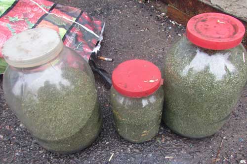 На Полтавщині правоохоронці вилучили майже 2 кг коноплі