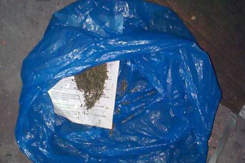 Гребінчанин зберігав у гаражі наркотики