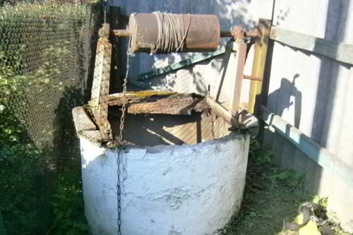  На Полтавщині 4-річна дівчинка впала в бабусин колодязь і загинула