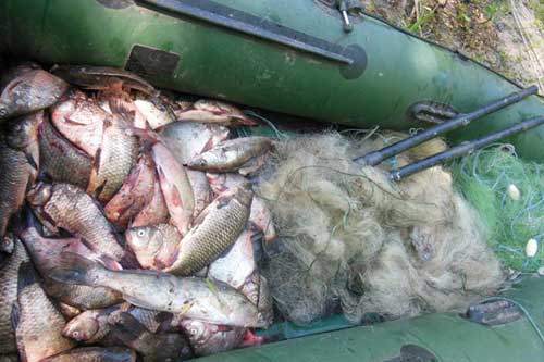 Про результати проведення операції «Нерест-2016» на Гребінківщині