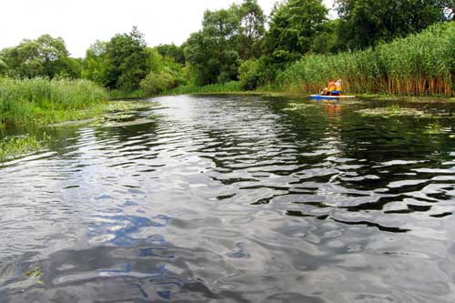 На Пирятинщині БАК-показники в Удаї перевищують норму у 5 разів 