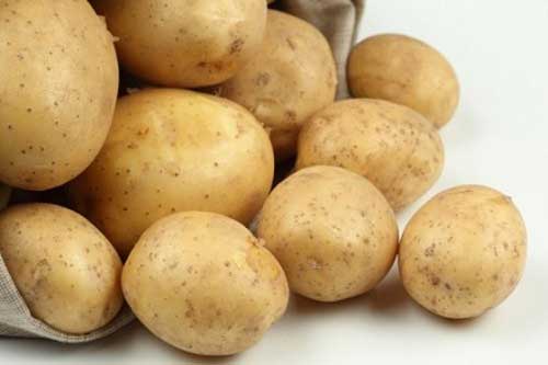 На Полтавщині очікують отримати більше мільйона тонн картоплі