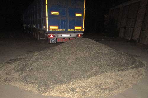 За викрадення 3-х тонн насіння соняшника полтавцю загрожує до 3-х років ув’язнення