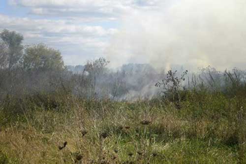 У Пирятині загорівся гектар очерету