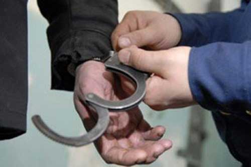 На Гребінківщині правоохоронці затримали серійного злодія