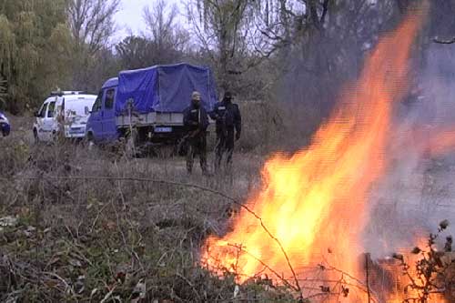 На Полтавщині поліція знищила майже на 2 мільйони гривень наркотиків