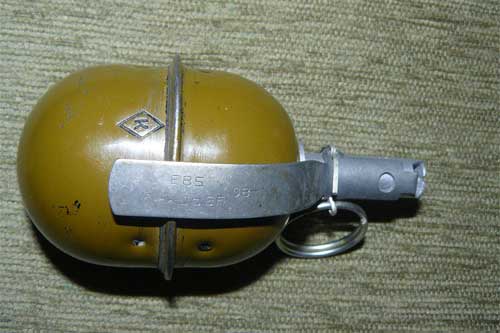 Полтавська поліція розповіла подробиці вибуху гранати у Гребінці