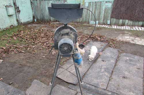 Поліцейські Гребінківщини розкрили крадіжку електромлину