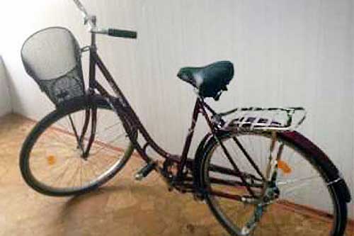 Правоохоронці Гребінківщини розкрили крадіжку велосипеда