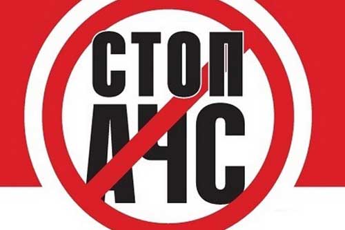 Вірусу АЧС у приватних домогосподарствах Гребінківського району не виявлено — Г.Пікуль
