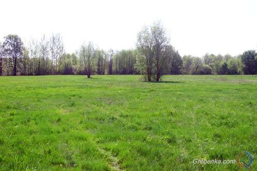 Лубенська місцева прокуратура повернула у державну власність 80 га земель