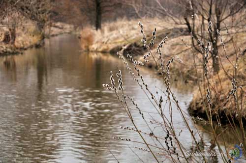 Останній день зими в Гребінці буде теплим