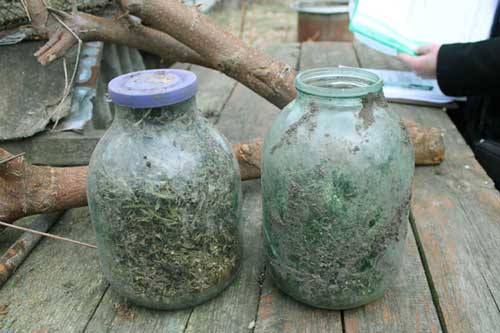 На Полтавщині поліція вилучила у чоловіка 2 скляні банки з канабісом