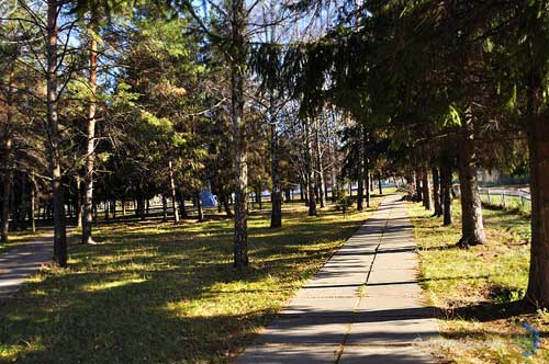 31 березня у Гребінці влаштують масштабне прибирання парку